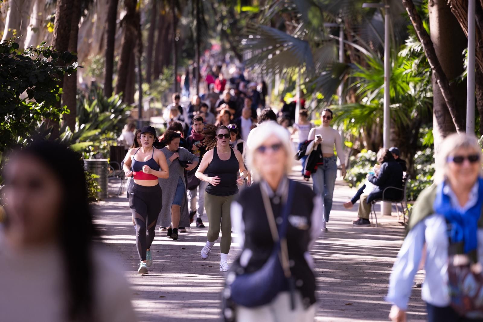 Así lucen las calles de Málaga en el primer fin de semana grande de Navidad: «Mucha gente y mucho calor»