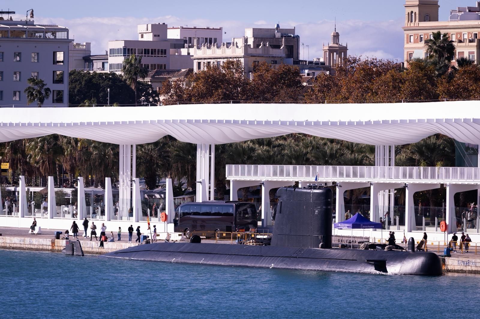 Así lucen las calles de Málaga en el primer fin de semana grande de Navidad: «Mucha gente y mucho calor»