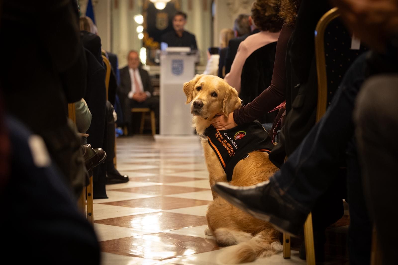 La entrega de los XVI Premios de Periodismo Ciudad de Málaga, en imágenes