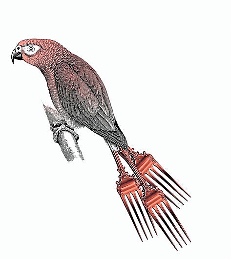 El espíritu de Río de Janeiro (II)