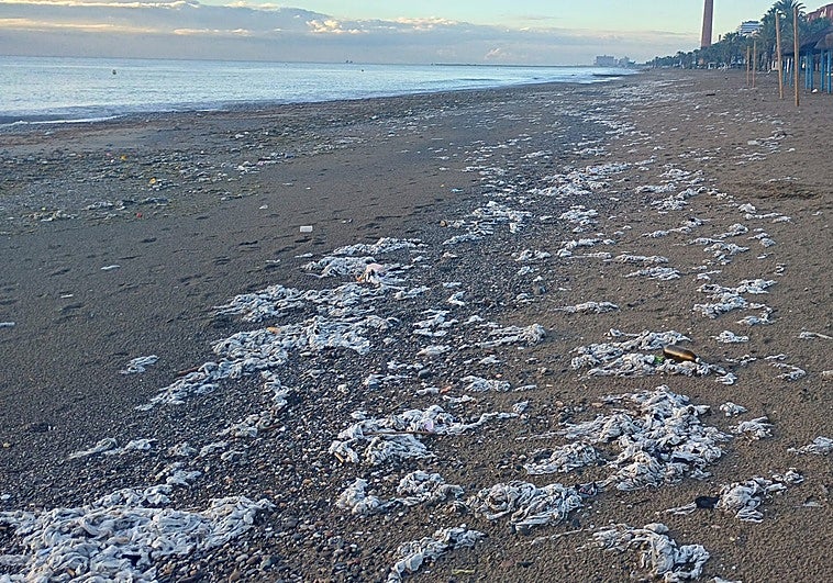 Los temporales y la falta de conciencia cívica llenan de toallitas la playa de Huelin