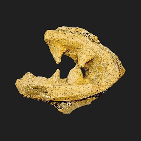 El Cerro del Villar se quita la máscara