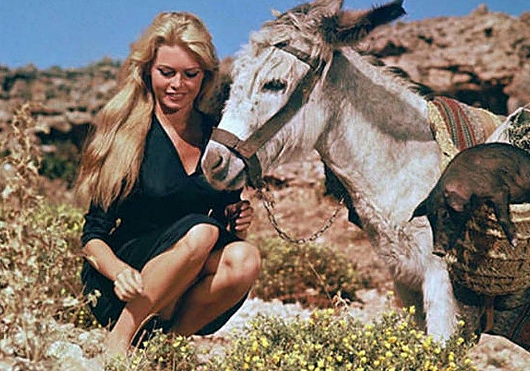 Cuando Brigitte Bardot se alojó con su burro Romeo en un hotel de Torremolinos