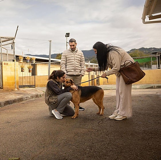 La Protectora cumple 150 años de defensa de los animales abandonados y maltratados en Málaga