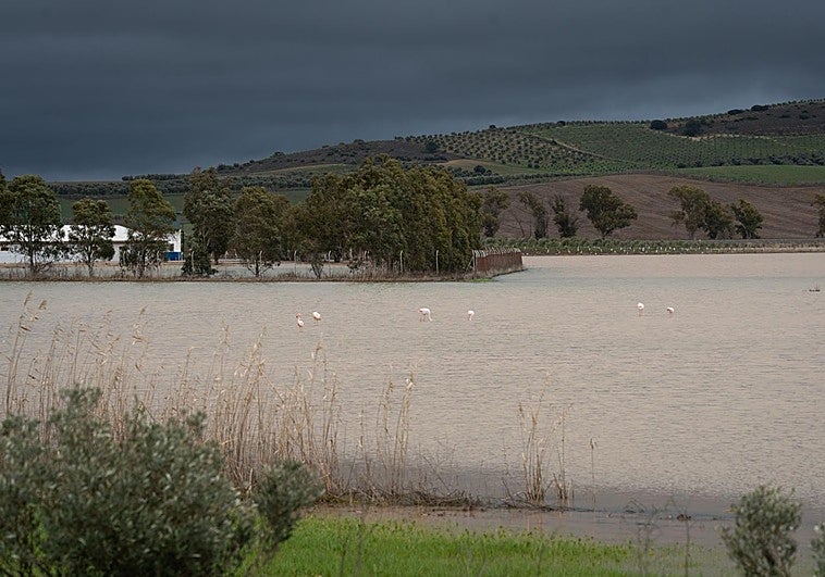 El Gobierno activa la vía para que los damnificados soliciten las ayudas