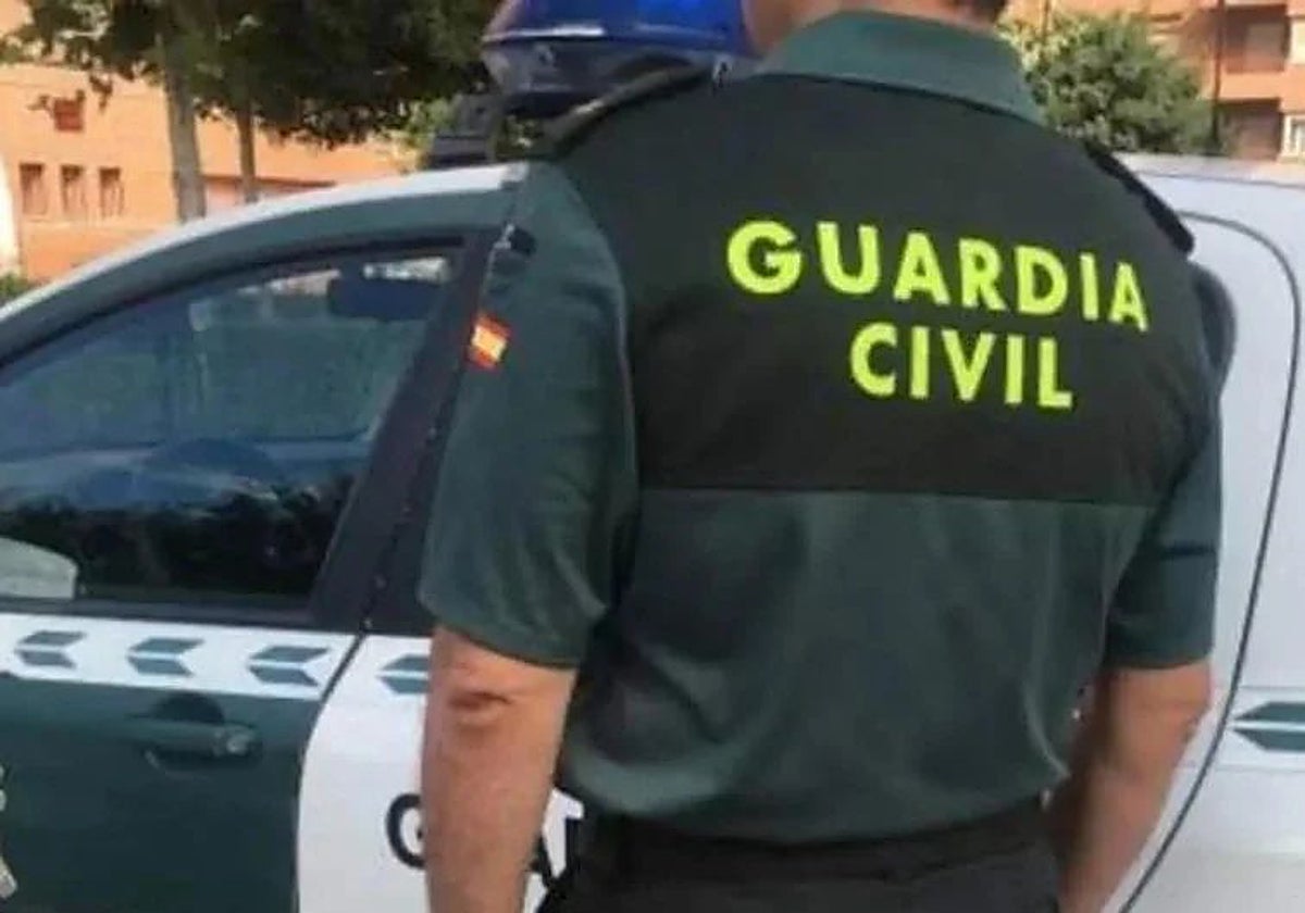 Detenido en Málaga por agresión sexual a una joven discapacitada a la ...