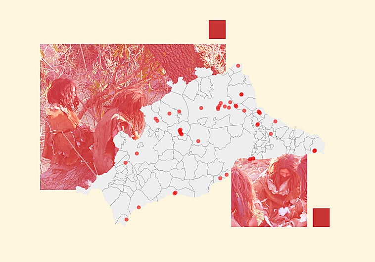 Estos son los yacimientos neandertales de Málaga