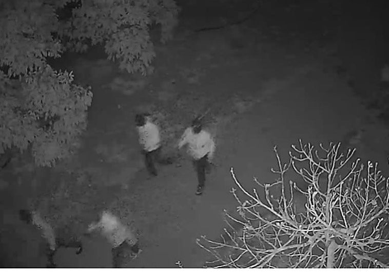 Oleada de robos en viviendas rurales y fincas de Valle-Niza y Almayate Alto: «Llevamos seis años con esta lacra»