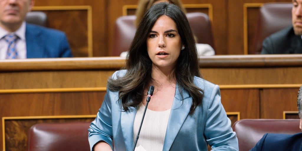 Pepa Millán apuesta por Gavira al que ve un «fantástico» candidato de Vox |  Diario Sur