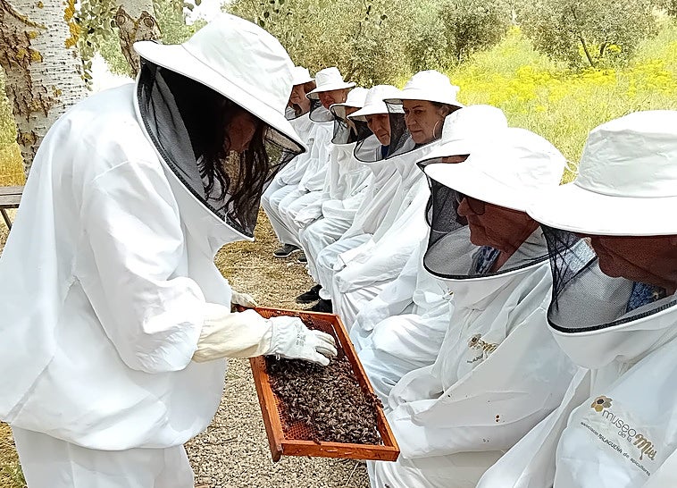 Visita guiada al Museo de la Miel en Colmenar