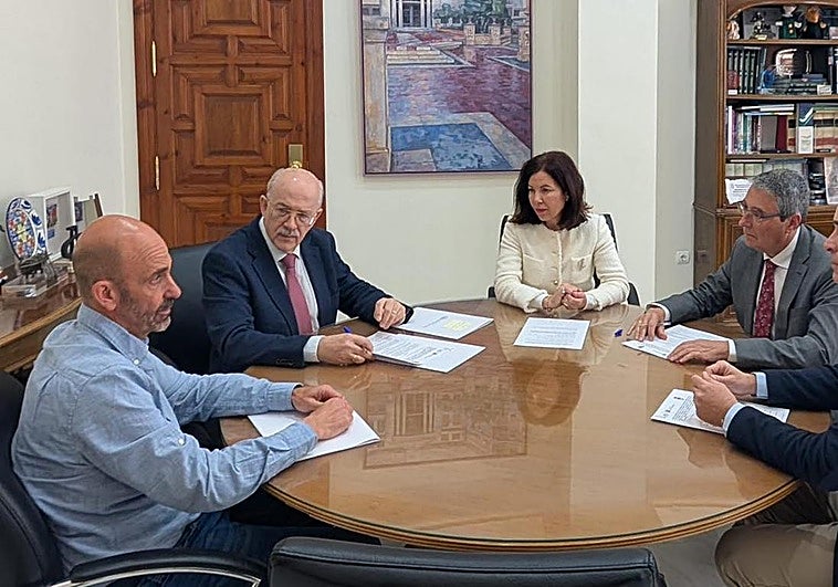 Rincón de la Victoria destina 60.000 euros a control de colonias felinas