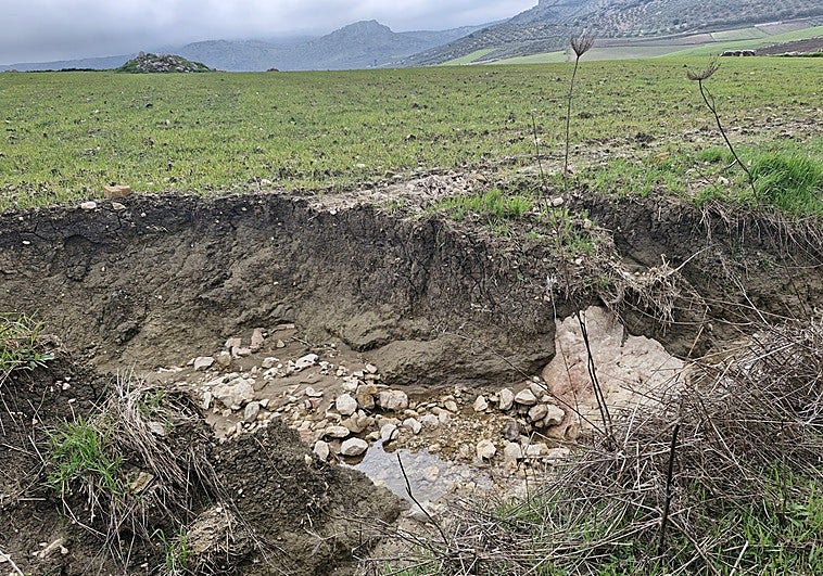 La red de caminos y la vía pecuaria de Cuevas del Becerro empiezan a recuperarse