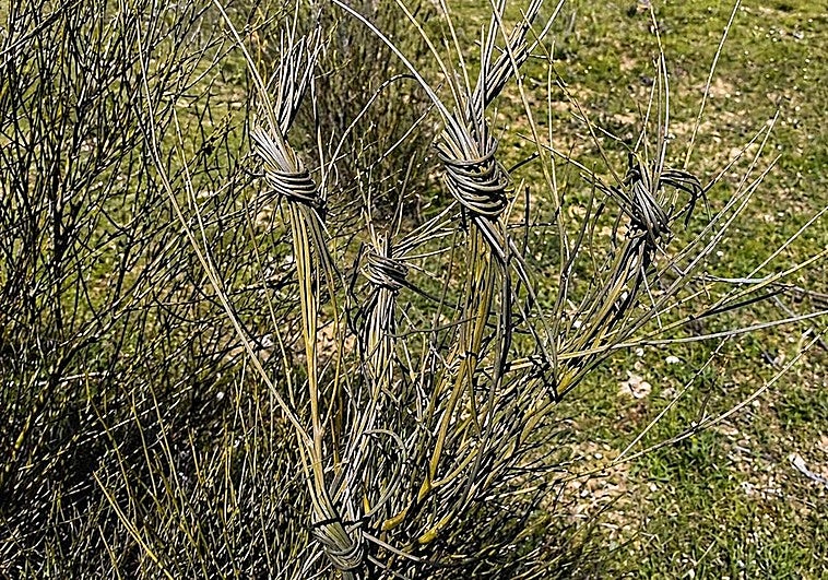 Atar al diablo: el enigmático rito de San Marcos que aún se practica en Málaga