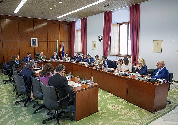Luz verde a los fondos de Adamuz en un Parlamento con sabor a prórroga