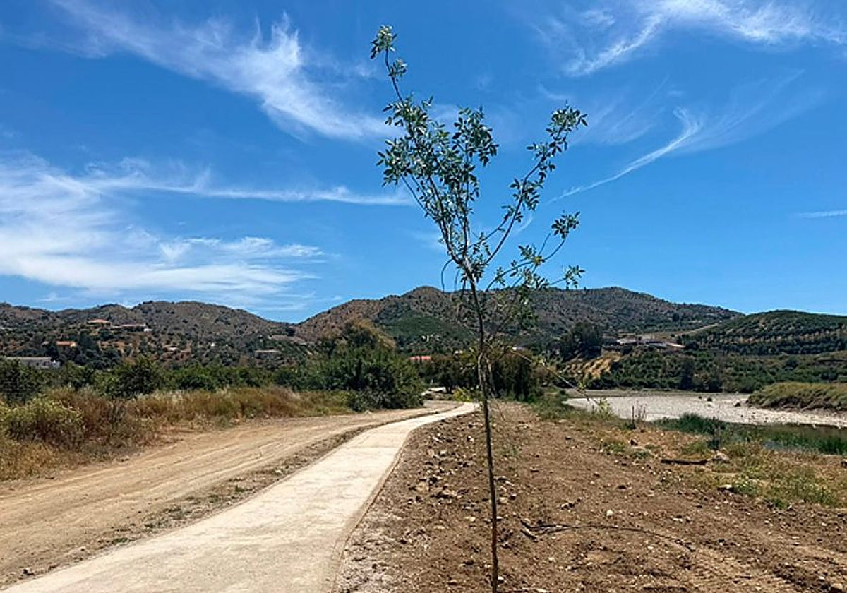 Álora recupera la ribera del Guadalhorce con una nueva senda peatonal