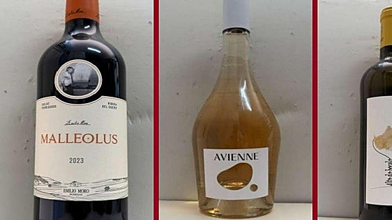 La cata: los vinos recomendados en la primera semana de junio