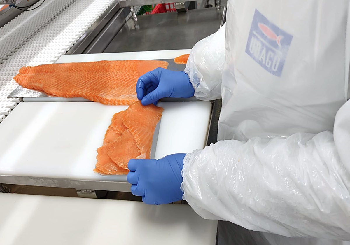 Ubago: la empresa centenaria que fabrica en Málaga el salmón ahumado de Mercadona