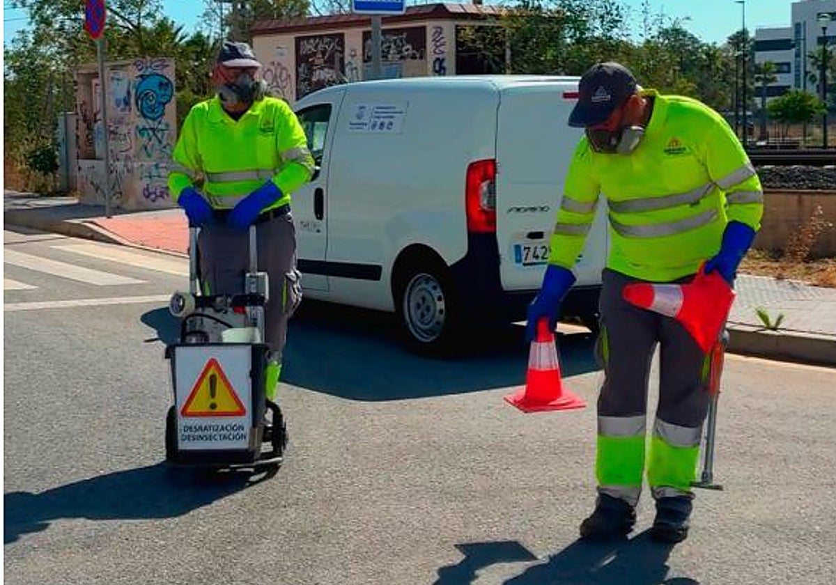 En månad av deratisering och desinfektion i Torremolinos avlopp