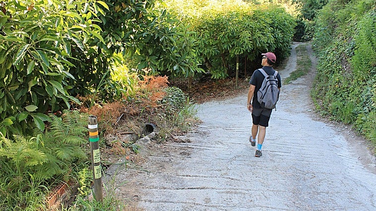 Así puedes seguir haciendo senderismo en Málaga cuando llega el calor