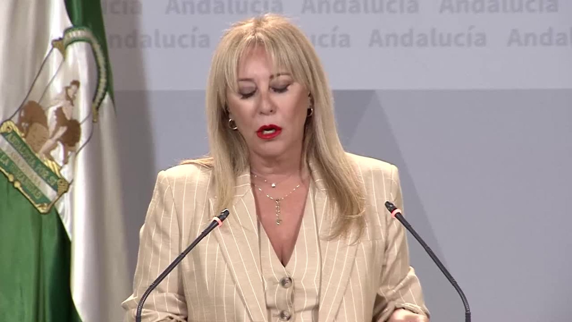 Andalucía reclama a Gobierno declarar 31 zonas gravemente afectadas por incendios y terremotos – Diario Sur