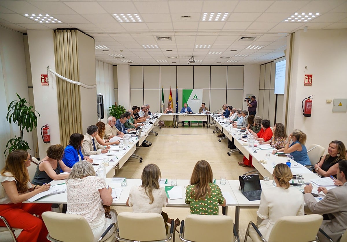Antonio Sanz presidió el pleno del Observatorio de Agrresiones.