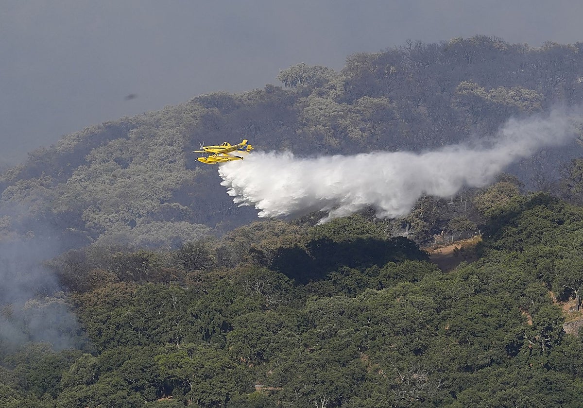 Un hidroavión combate el fuego en Grazalema.