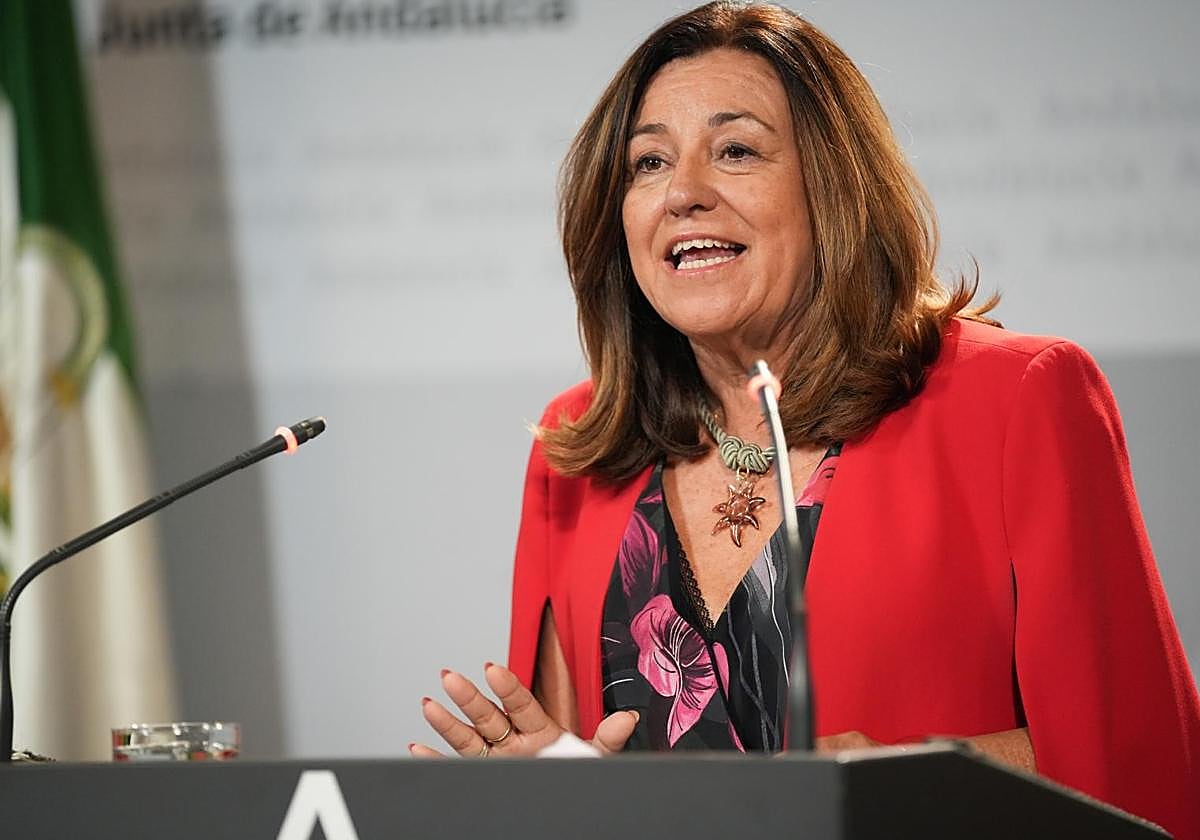 Andalucía pide «simplificar» el currículum educativo, más esfuerzo y el «apoyo» de las familias para revertir los resultados del informe PISA