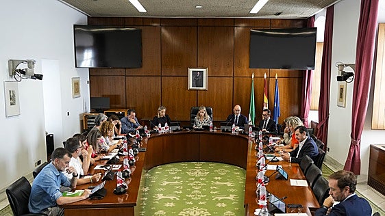 Ceuta versus el cáncer de mama: el Parlamento encalla en la crispación