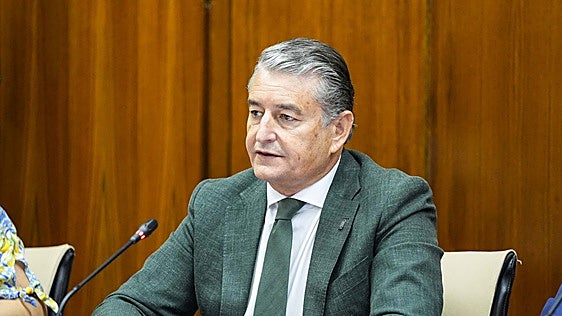 Antonio Sanz, durante su comparecencia.