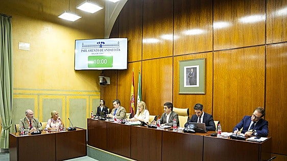 Un momento de la celebración de la comisión parlamentaria de Hacienda.