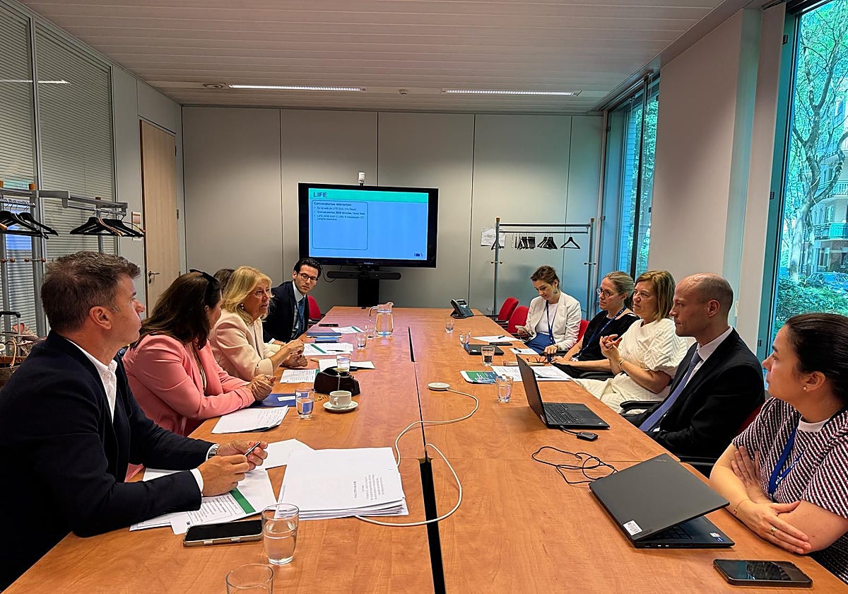 Marbella busca en Bruselas financiación para proyectos prioritarios
