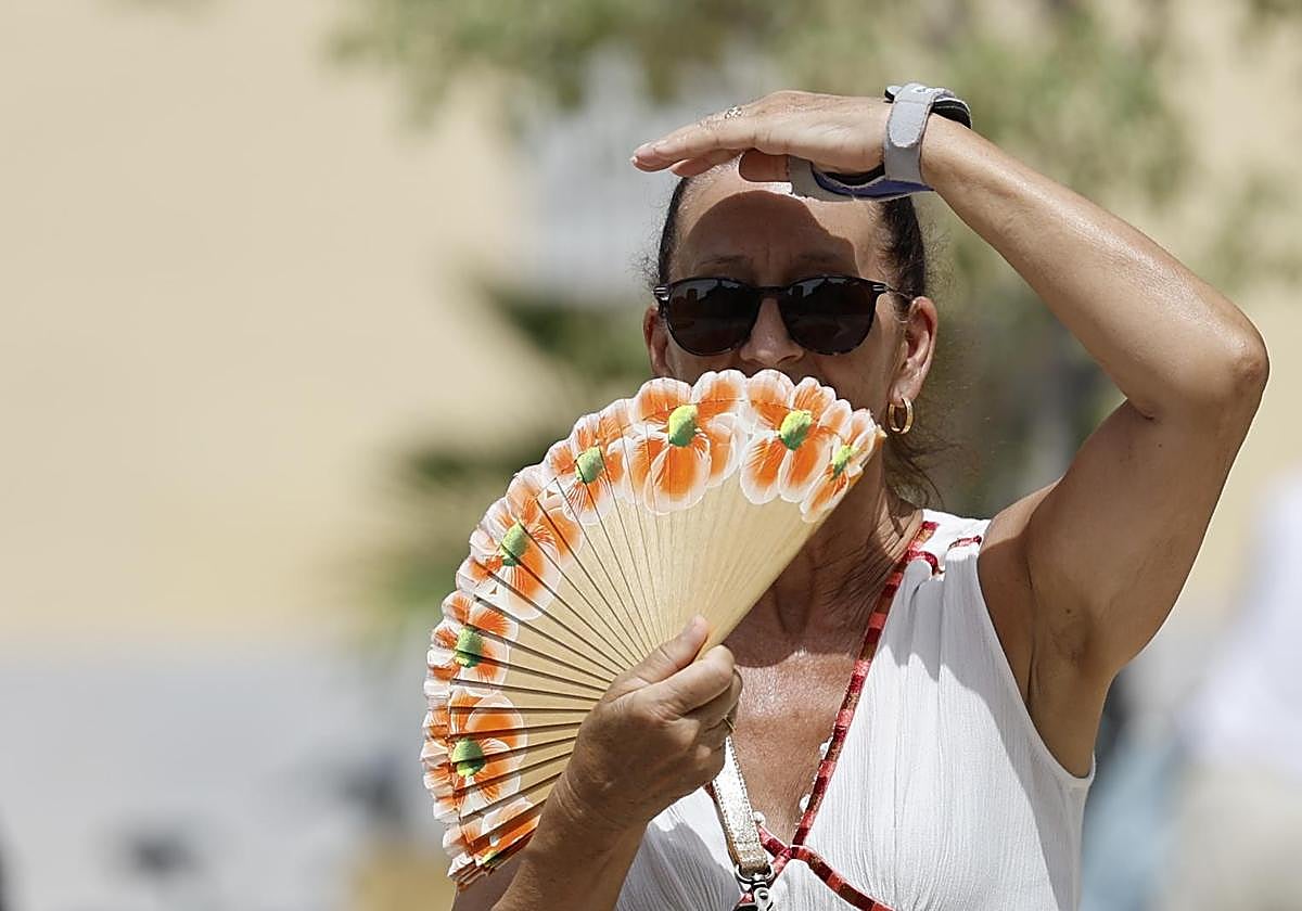 Coín marca la temperatura más alta del día en España: 43,9º