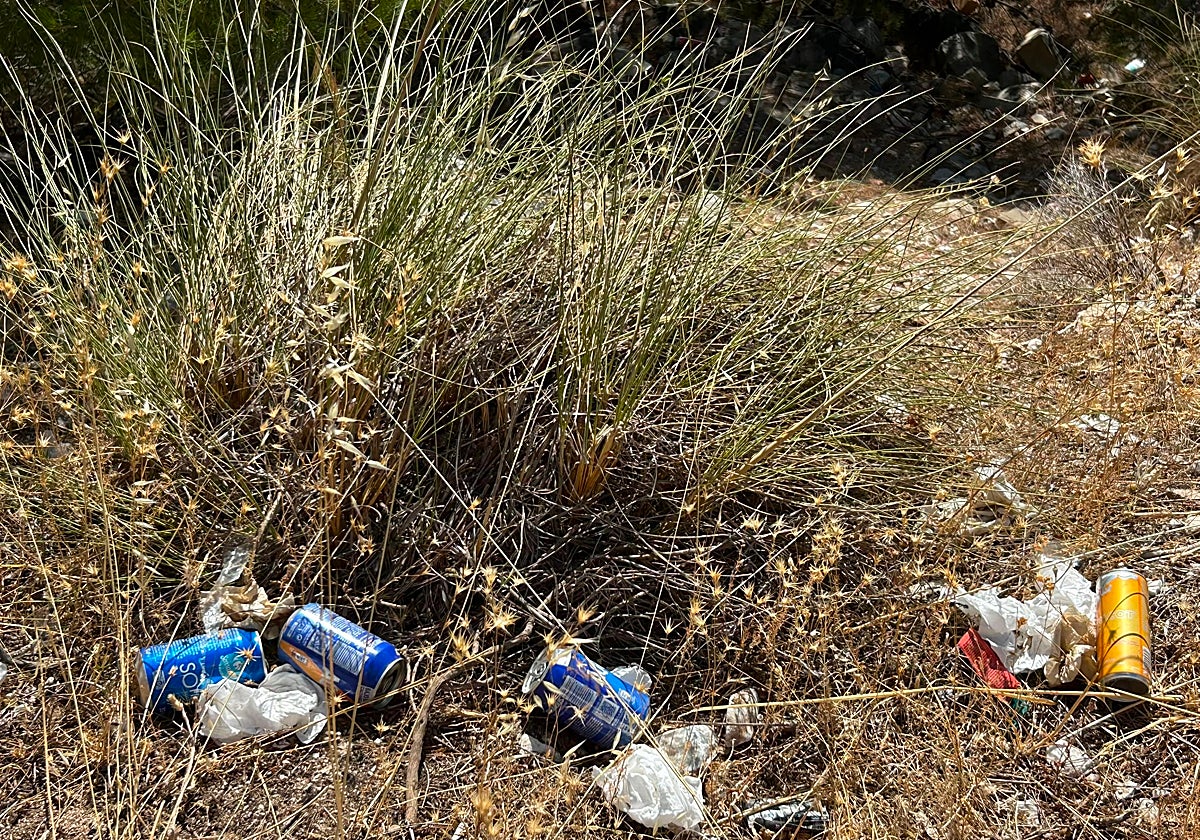 Preocupación vecinal por el «abandono» de Pinos de Alhaurín