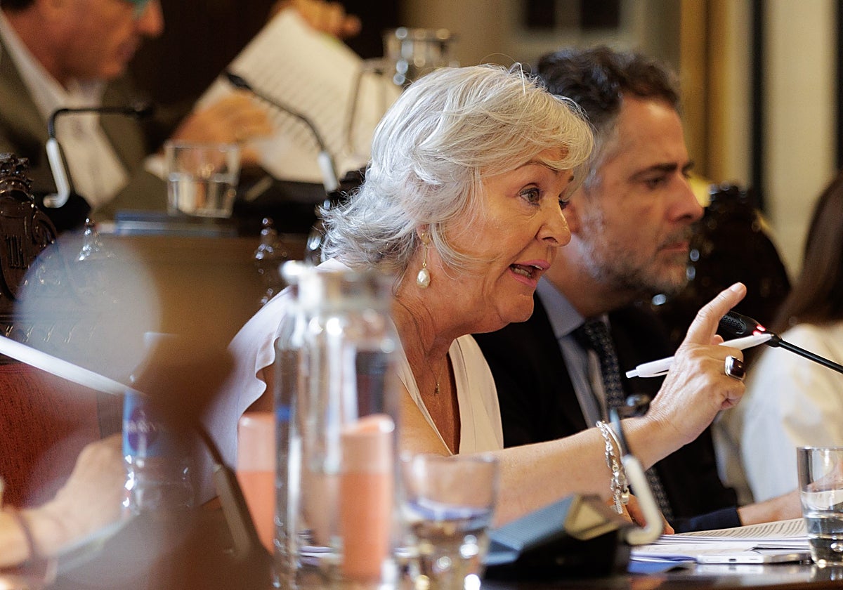 De la Torre defiende a Teresa Porras: «Decir que alguien es incívico no es un insulto»