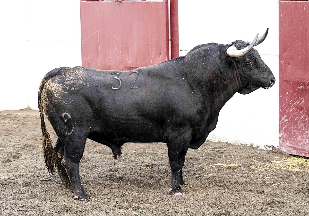 Lote completo de Victoriano del Río para la séptima de abono en Málaga