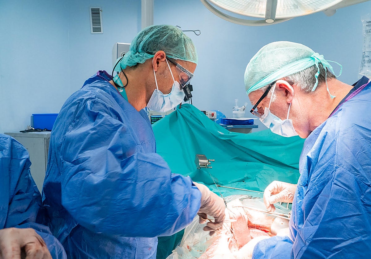 Marbella, líder de la sanidad privada para pacientes extranjeros
