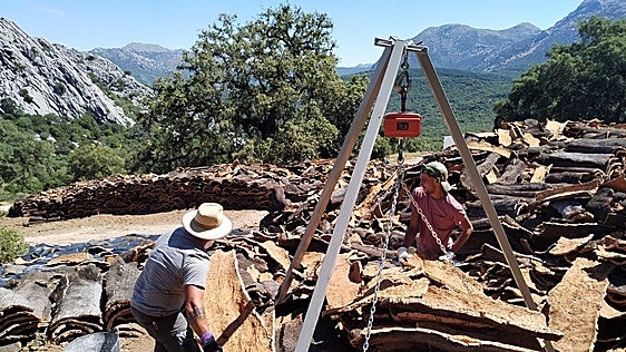 Los Montes de Propio de Ronda dejan más de 600.000 euros por la venta de su corcho