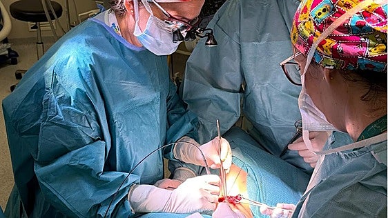 El Hospital Costa del Sol incorpora un dispositivo innovador en cirugía de tiroides
