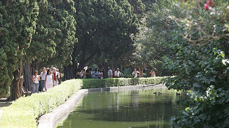 La finca El Retiro se transformará en una clínica de recuperación vinculada a la naturaleza