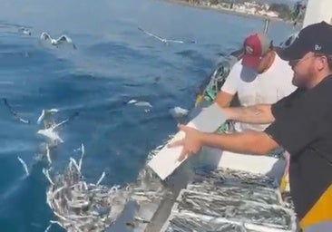 Los pescadores de Caleta de Vélez, tirando los boquerones al mar.