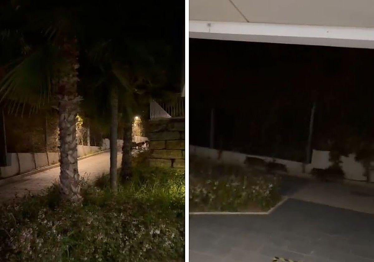Una piara de jabalíes sorprende a los vecinos de una urbanización del Limonar