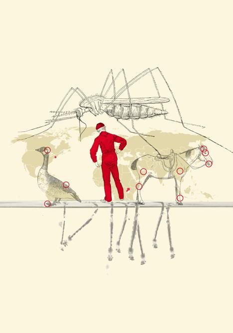 Vuelve el virus del Nilo Occidental: cómo se transmite y principales síntomas