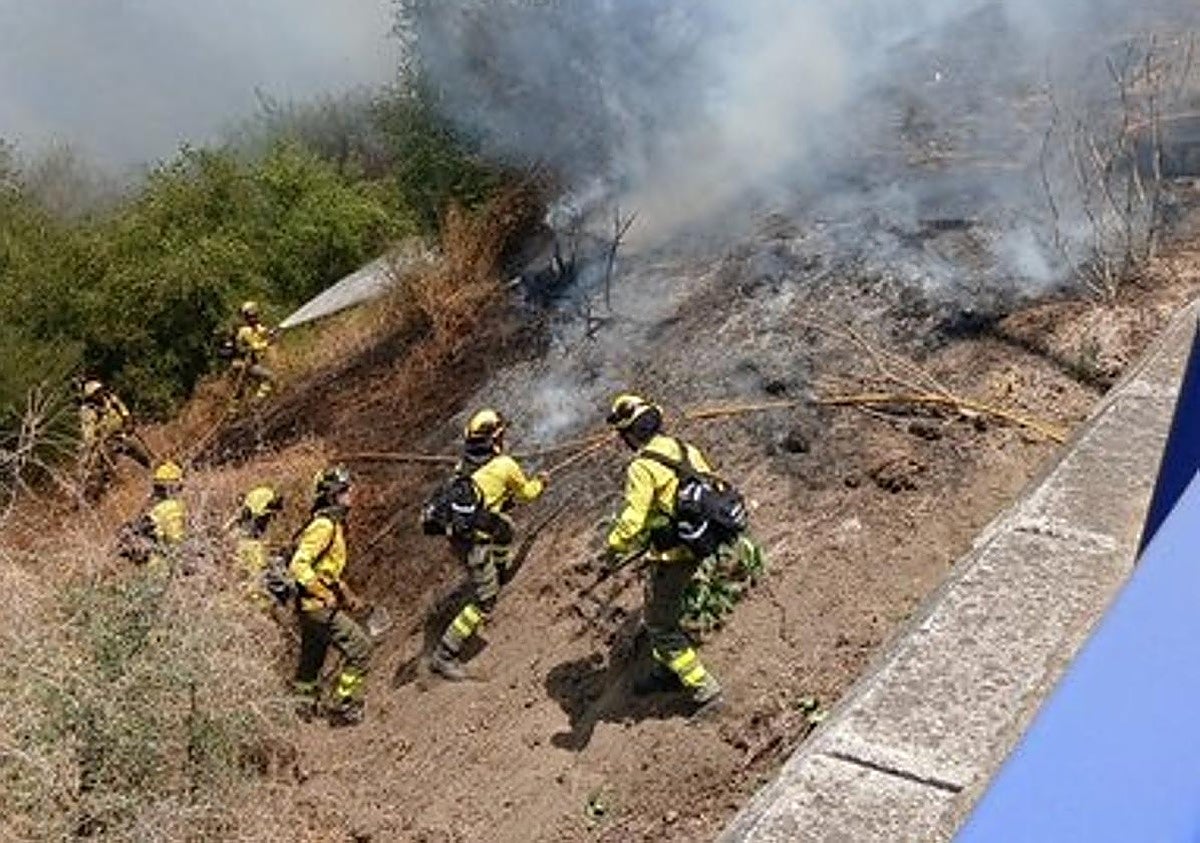 Declarado un incendio forestal en Estepona