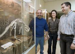 Un único meteorito gigante provocó la extinción de los dinosaurios