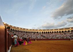 Andalucía decide esta semana si tramita una iniciativa popular para prohibir las corridas