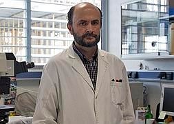 Un experto del CSIC tranquiliza sobre la 'crisis de los pepinos'