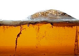 Esta es la sustancia gelatinosa que se crea gracias a la fermentación de azúcar y té verde. / Foto: Biocouture | Vídeo: YouTube
