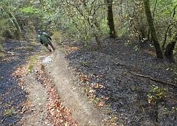 Un reten camina por una de las zonas incendiadas / Efe