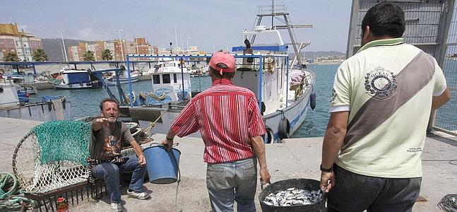 Pescadores se preparan para salir a faenar en La Línea de la Concepción (Cádiz). /J. Ragel (Efe)