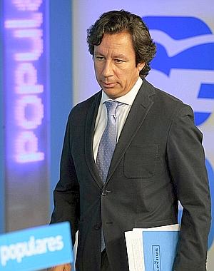 El vicesecretario general de Organización de este partido, Carlos Floriano./ Tarek (Efe)
